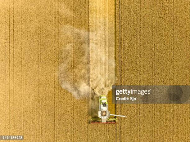 combine harvester harvesting wheat during summer seen from above - cereal plant stockfoto's en -beelden