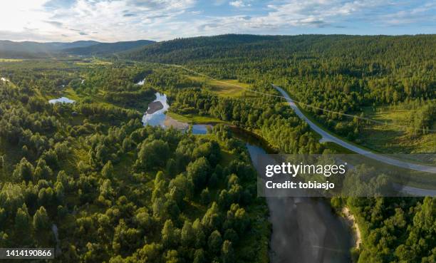 paisaje de verano sueco en las montañas - jamtland fotografías e imágenes de stock