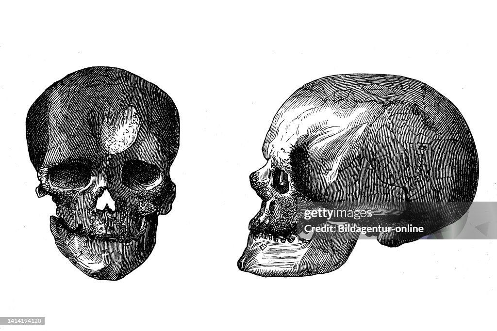 Skull Cro-Magnon