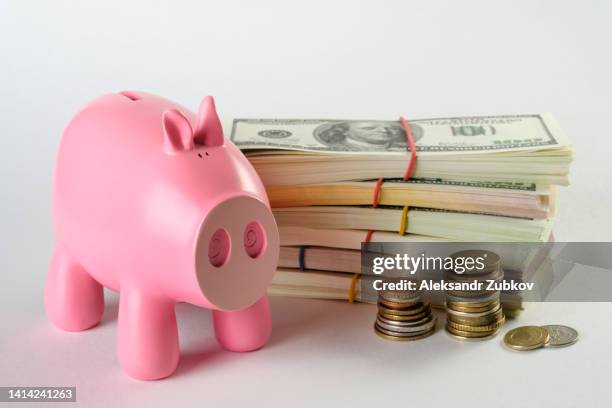 paper currency, dollar bills in bundles on a white background or table. nearby there is a piggy bank in the form of a pink pig. money and coins from different countries. the concept of business and finance, insurance, investment and accumulation of funds. - fajo de billetes de euro fotografías e imágenes de stock
