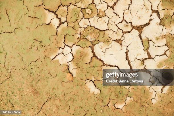 texture of dry cracked earth or clay. concept of anti aging procedures and beauty treatment for dry skin. high angle view - dry skin - fotografias e filmes do acervo