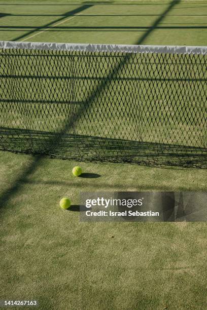 two tennis balls by the net on the grass court at sunset. - grass court 個照片及圖片檔