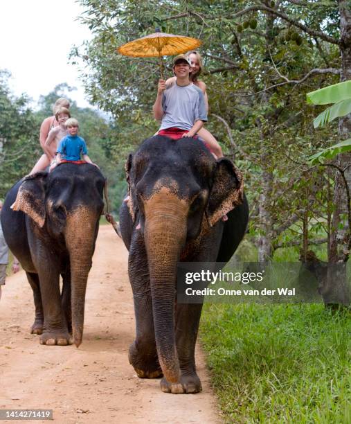 american tourists ride elephants in thailand - riding elephant stock pictures, royalty-free photos & images