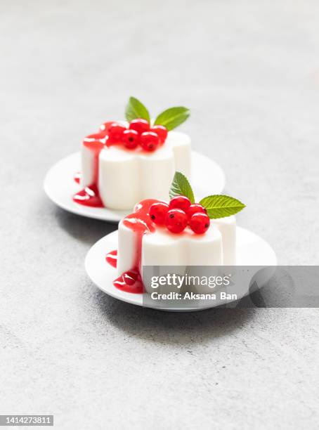 red currant panna cotta with sauce, on a plate. light gray background - gelatin mold fotografías e imágenes de stock