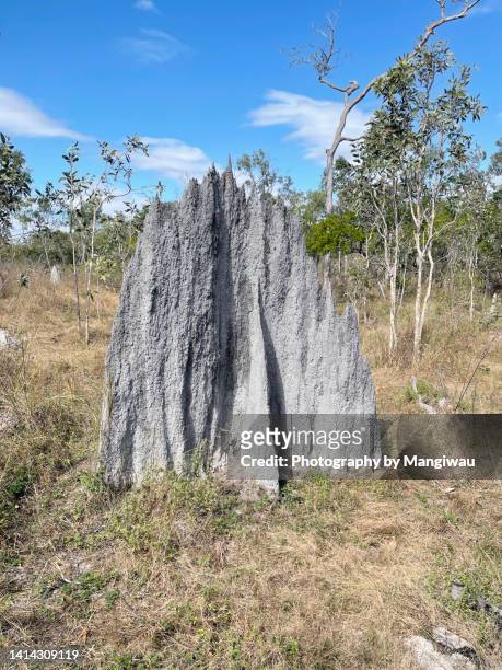 termite mound ant hill outback australia - volantkleid stock-fotos und bilder