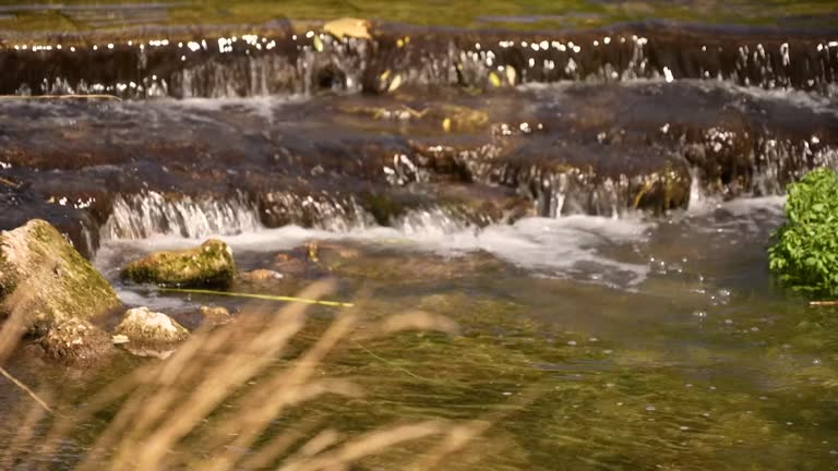 Running Stream Views 2,461 Run Stream Stock Videos, Footage, & 4K Video Clips - Getty Images