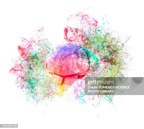 Brain Piclab 273 Rainbow Brain Stock Photos, High-Res Pictures, and Images - Getty ...