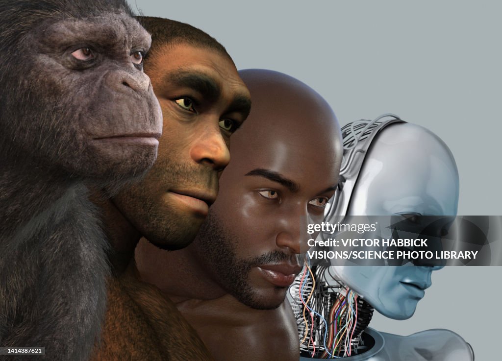 Human Evolution Conceptual Illustration High-Res Vector Graphic - Getty ...