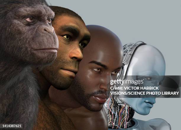 Human Evolution Conceptual Illustration High-Res Vector Graphic - Getty ...