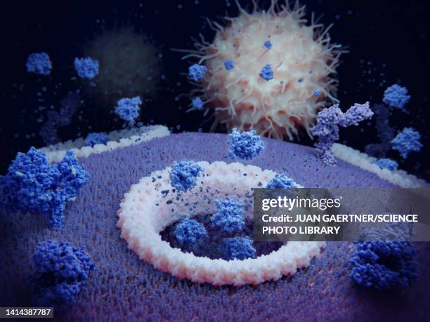 pyroptosis, illustration - zytokin stock-grafiken, -clipart, -cartoons und -symbole
