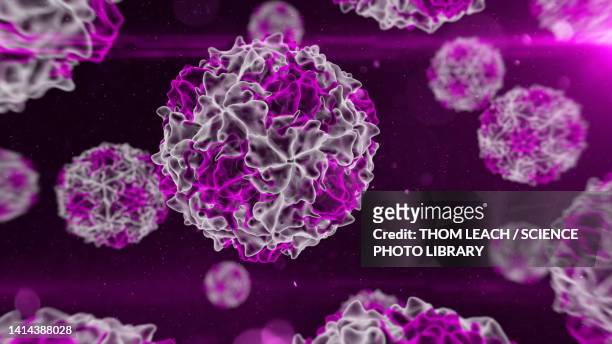 poliovirus, illustration - polio virus stockfoto's en -beelden