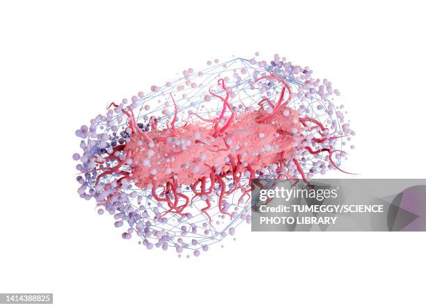 stockillustraties, clipart, cartoons en iconen met escherichia coli bacteria in a net, conceptual illustration - salmonella infectie