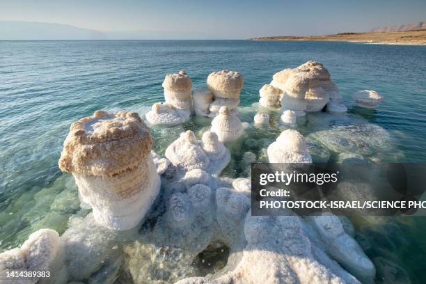 salt formation, dead sea, israel - magnesium - fotografias e filmes do acervo