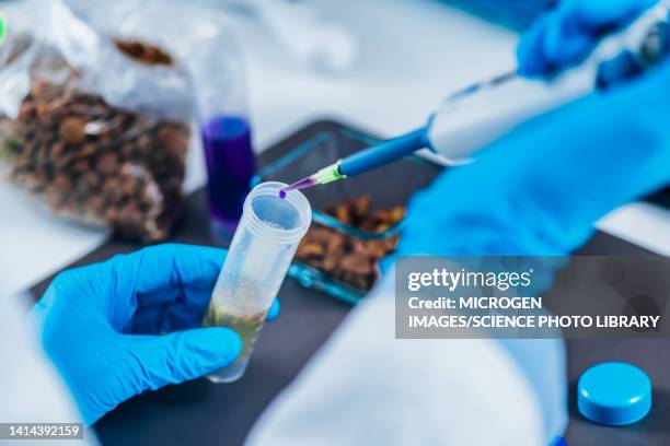 pet food quality control laboratory - chemical reaction stock pictures, royalty-free photos & images