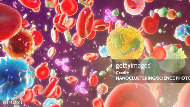 blood cells with igg antibodies and bacteria, illustration - sepsis stock illustrations