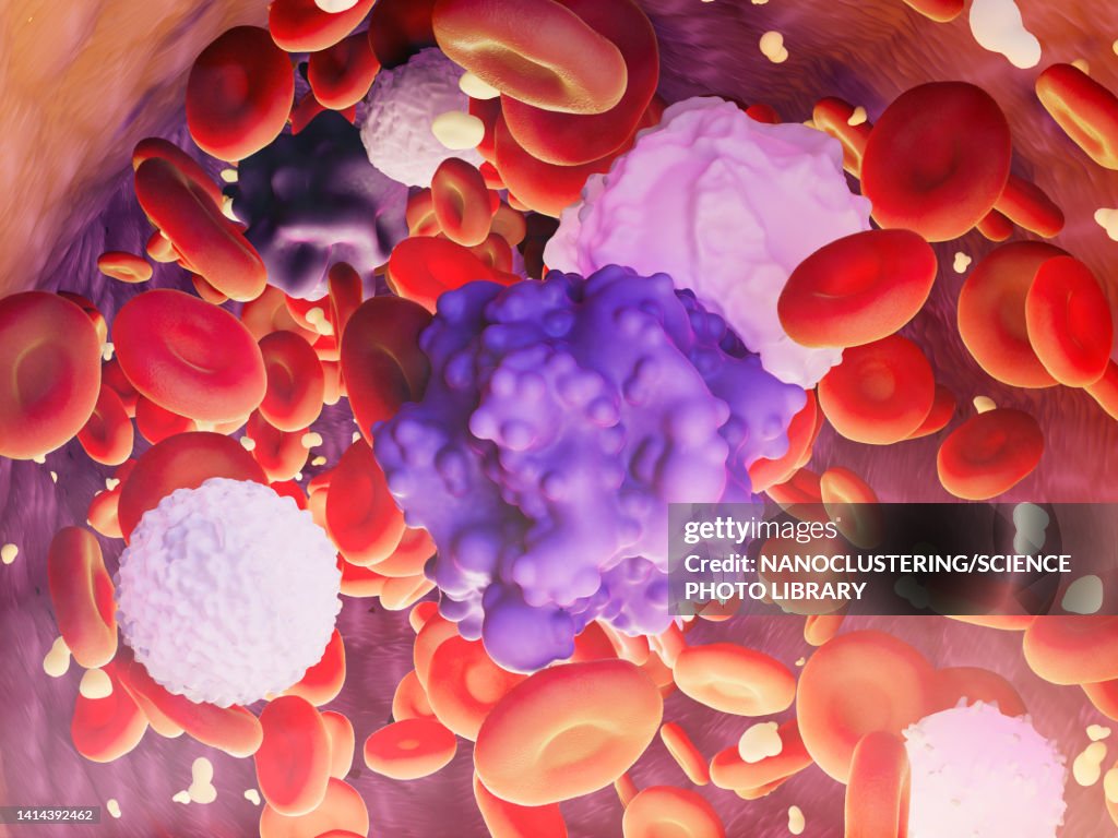 Hott Cell Blood Cells With Circulating Tumor Cells Illustration High-Res Vector ...