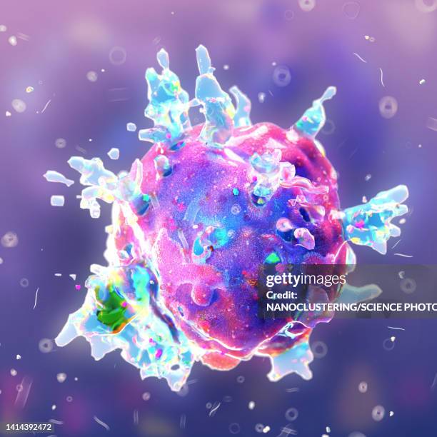 21 Cell Lysis Stock Photos, High-Res Pictures, and Images - Getty Images