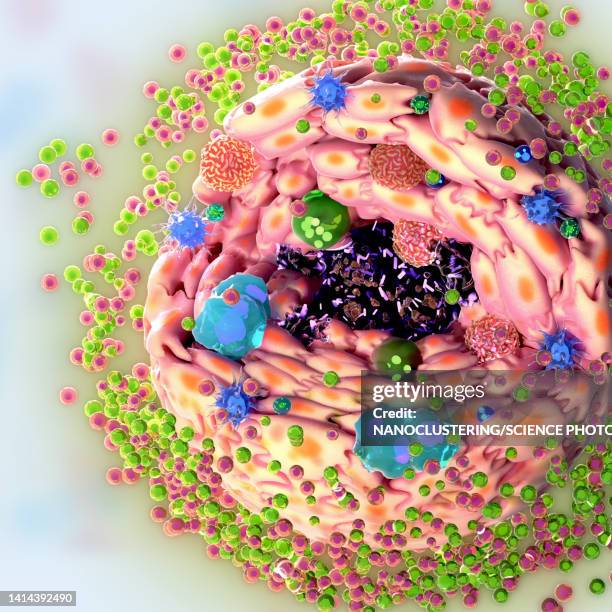 structure of a tuberculous granuloma, illustration - マクロファージ点のイラスト素材／クリップアート素材／マンガ素材／アイコン素材