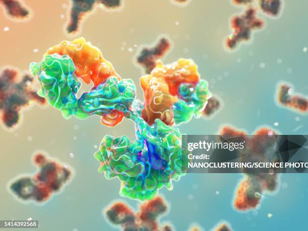 bildbanksillustrationer, clip art samt tecknat material och ikoner med igg antibody, illustration - antibody