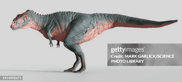 artwork of the dinosaur meraxes gigas - acrocanthosaurus stock illustrations