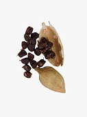 Cardamom or Elaichi or Yelakkai or Ellakkaya or Elathari or Cardamomo or Cardamome or Kardamom or Huba alal or Pai-tou-k'ou or Kakule or Buah pelaga or amomum or Kurmanji or Elettaria with its tiny black seeds in white background
