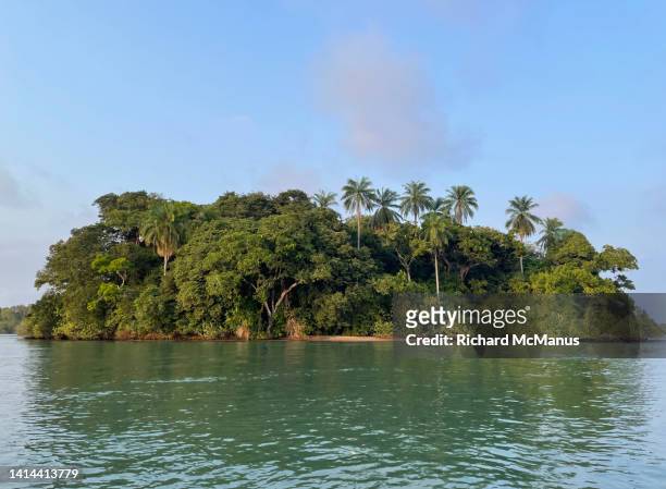 tropical island - gabon stock-fotos und bilder
