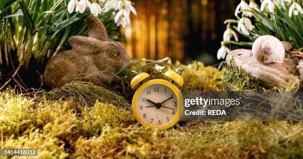 Eastern Rabbit Clock Easter Bunny Clock Photos and Premium High Res Pictures - Getty Images