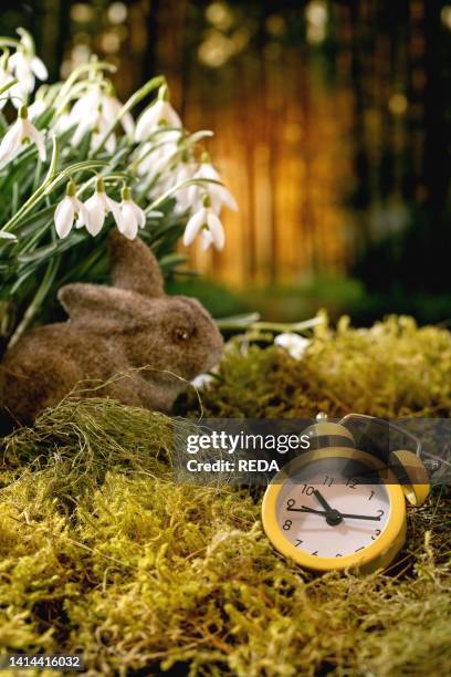 Eastern Rabbit Clock Easter Bunny Clock Photos and Premium High Res Pictures - Getty Images