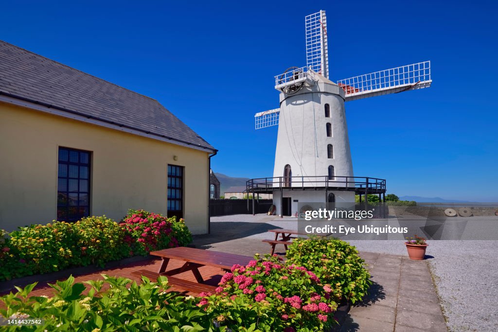 Blennerville Windmill near Tralee