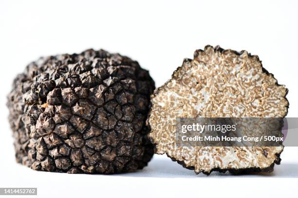 truffe dt du prigord white perigord truffle - truffles stock pictures, royalty-free photos & images