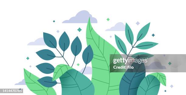 stockillustraties, clipart, cartoons en iconen met lush foliage plant growth - varen