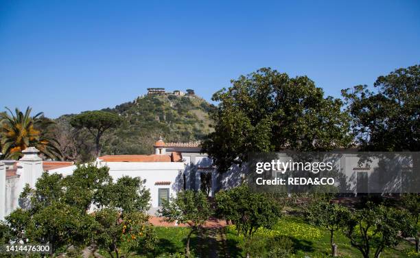 Villa Arbusto. Lacco Ameno. Ischia island. Campania. Italy. Europe.