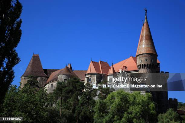 Corvin Castle, also known as Hunyad Castle or Hunedoara Castle, Castelul Huniazilor or Castelul Corvinilor, is a Gothic-Renaissance castle in...