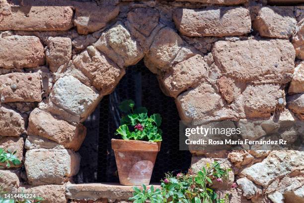 flower pot on rustic window on old stone wall. - steinhaus stock-fotos und bilder