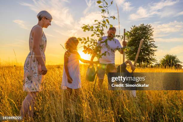 famiglia con un giovane albero che guarda il figlio che scava in mezzo al campo erboso nel prato - family planting tree foto e immagini stock