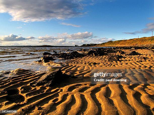 footsteps on shoreline. - tees river stock pictures, royalty-free photos & images