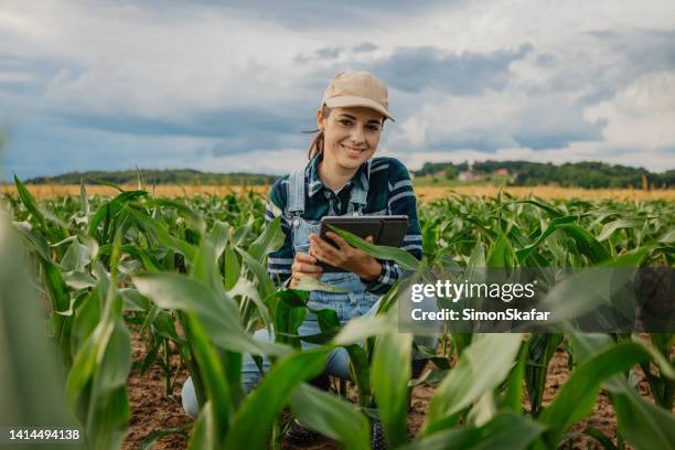 農場のトウモロコシ作物の中でデジタルタブレットを持つ笑顔の農学者の肖像画 - 農業 ストックフォトと画像