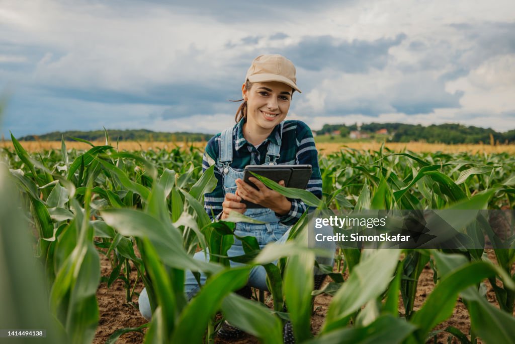 Retrato de agrônomo sorridente com tablete digital em meio a culturas de milho em fazenda
