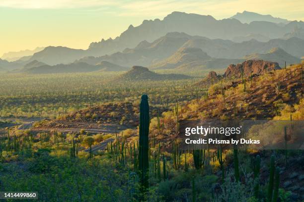 North America, Mexico, Baja California Sur,Loreto, highway1 and desert landscape.
