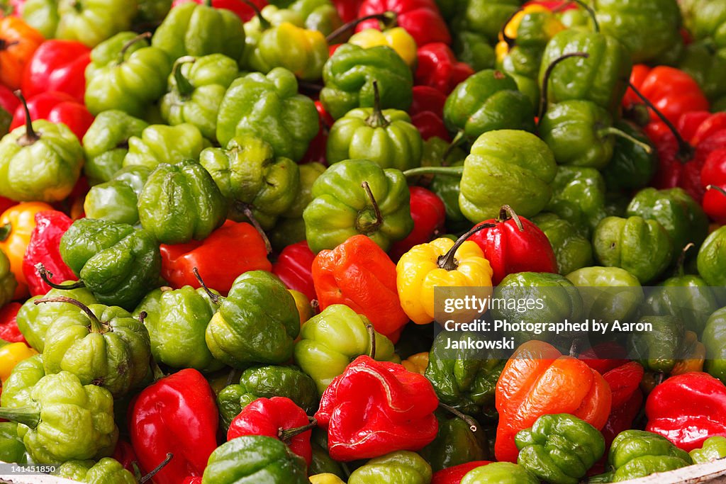 Scotch bonnet peppers