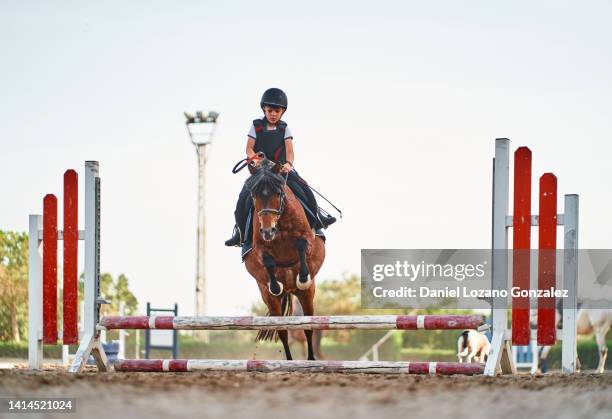 horse with rider jumping over hurdle - corrida de cavalos evento equestre - fotografias e filmes do acervo
