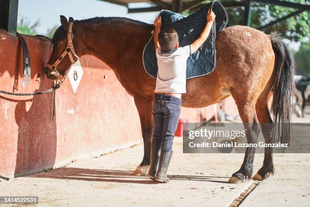 anonymous boy putting pad on horse - horse blanket stockfoto's en -beelden