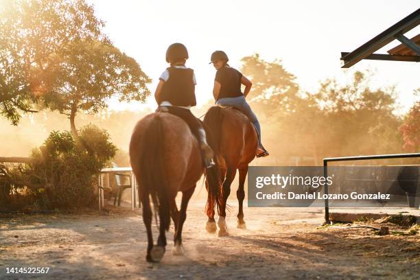 mother and son riding horses at sunset - pferdeartige stock-fotos und bilder