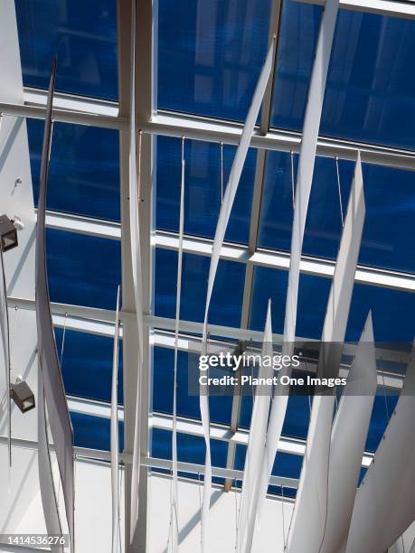 Abstract visualisation: skylight in Auckland New Zealand.