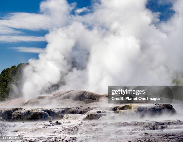 The spectacular Waiotapu Thermal Area in Rotorua New Zealand's North Island-Pohutu Geyser.