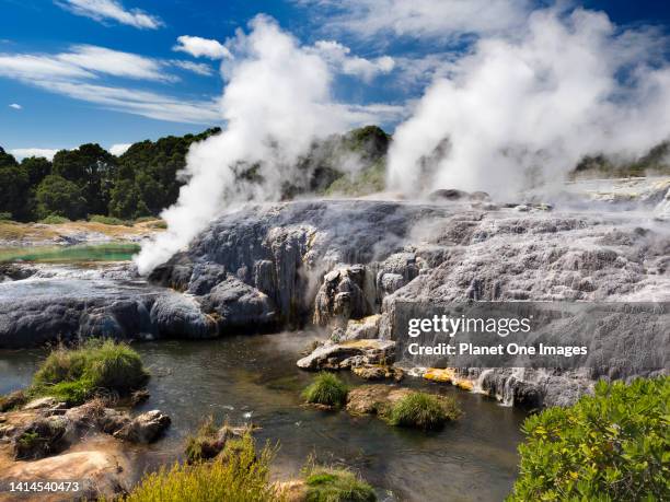 The spectacular geothermal area of Rotorua in New Zealand's North Island- Pohutu Geyser b.