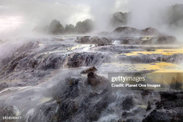 The spectacular Waiotapu Thermal Area in Rotorua New Zealand's North Island-Pohutu Geyser d.