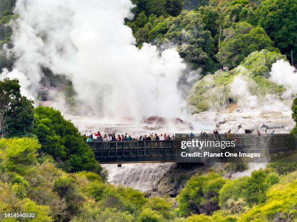 The spectacular geothermal area of Rotorua in New Zealand's North Island- Pohutu Geyser a.