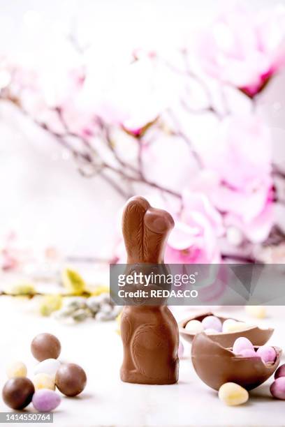 Easter greeting card with chocolate sweets rabbit, candies and eggs, spring blossom branches on white background. Easter treats.