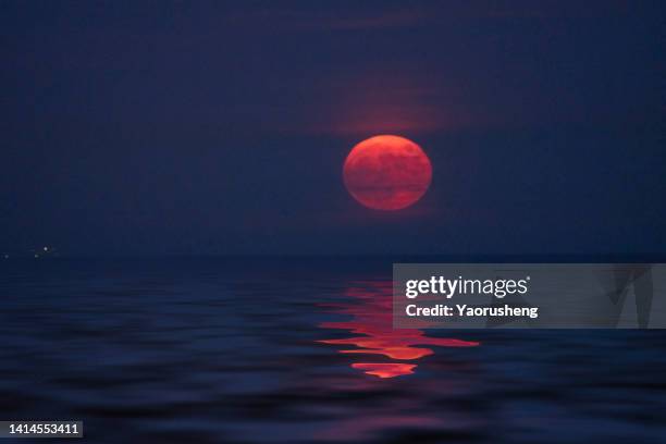 full orange moonrise over sea - beautiful moon stock pictures, royalty-free photos & images